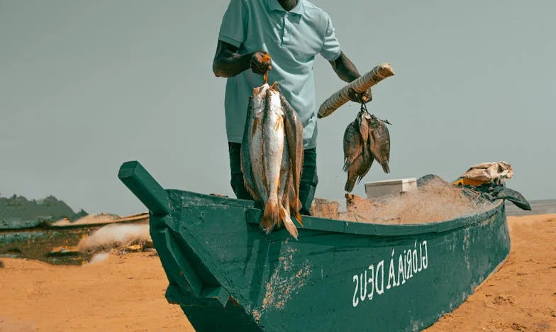 Hamuvá lett álmok: Magdi története, aki kénytelen volt mindent elölről kezdeni