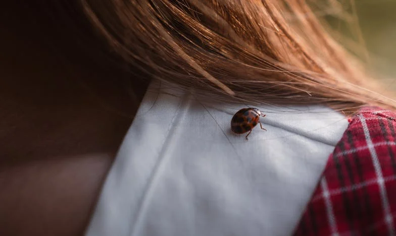 Hamuvá lett álmok: Zsófia története a budapesti panelrengetegből