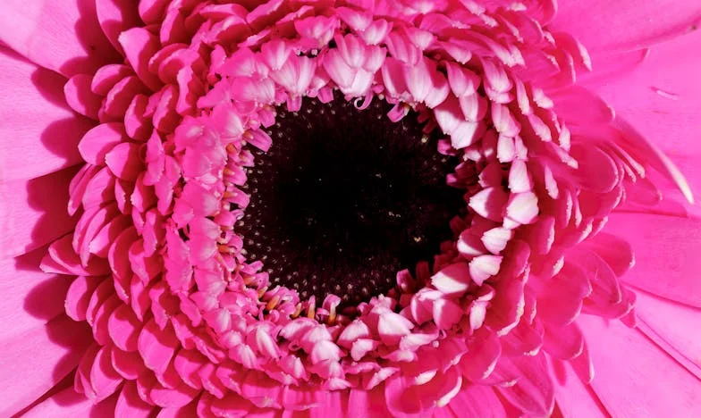 Összeomlás a vasárnapi asztalnál – Vajon megmenthető még a családunk?