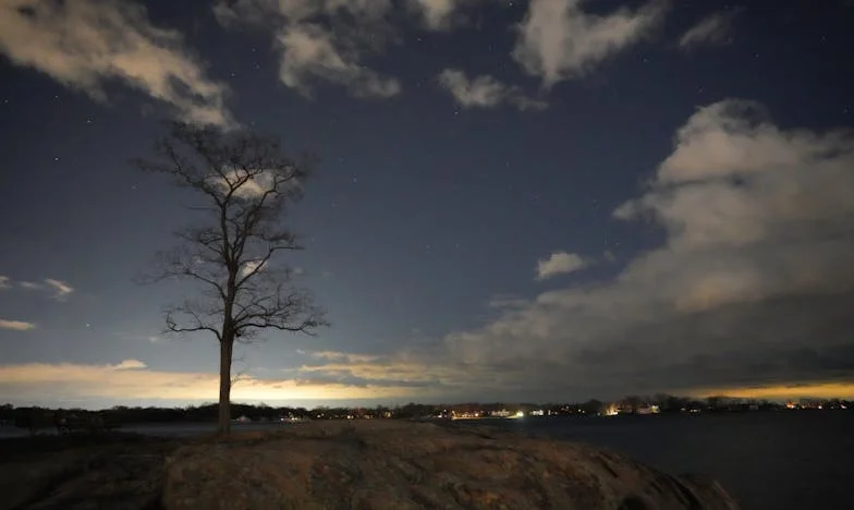 Vérszerződés: Kétely és bizalom között – Egy anya vallomása