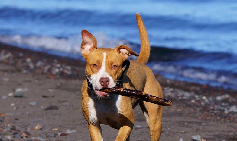 A varrónő titka: 200 ruha, 200 sors – Egy éjszaka Margit életében