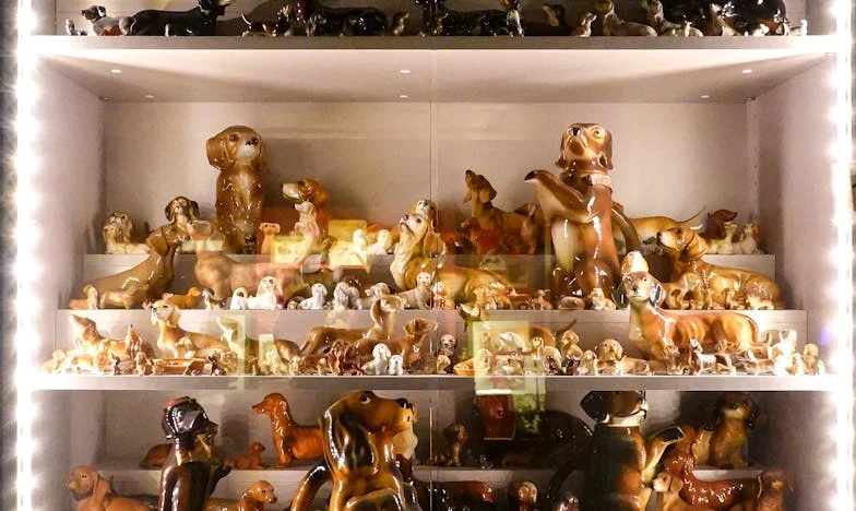 Amikor egy kóbor kutya miatt felülírtam a múltat – Egy élet a panelház árnyékában