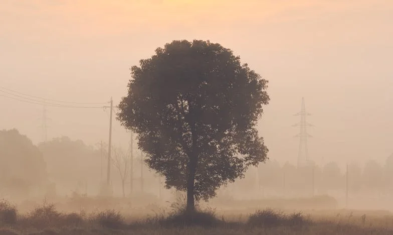 Két tűz között: Amikor a szívnek kell választania – Az én történetem, Dániel szemével