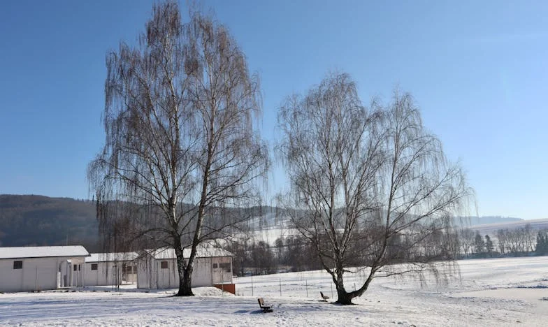 A férjem ellopta a bankkártyámat, hogy az új barátnőjével nyaraljon – minden az utolsó pillanatban derült ki a reptéren