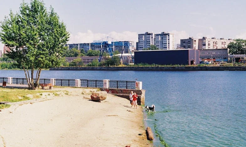 Anyós, aki jót akart… de tönkretette a családunkat. Harcom a saját otthonomért és a nyugalmamért