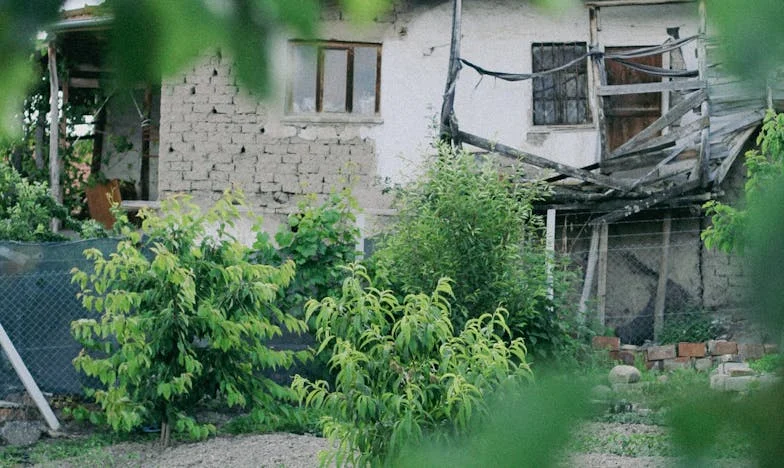 Egy ház, két világ: Egy mozaikcsalád harcai és reményei