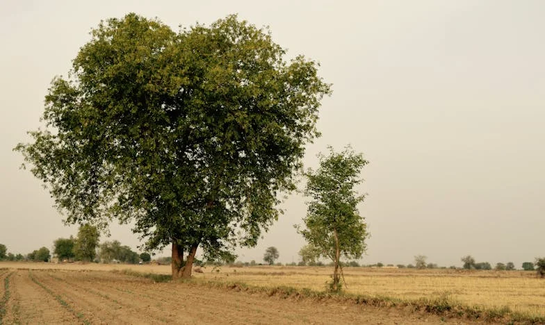 Egy leckényi felelősség: Amikor a házasság repedései felszínre törnek
