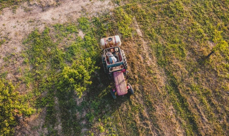 „Hozd a gyerekeket, de a pénztárcádat se felejtsd otthon!” – Egy családi titok a kertben