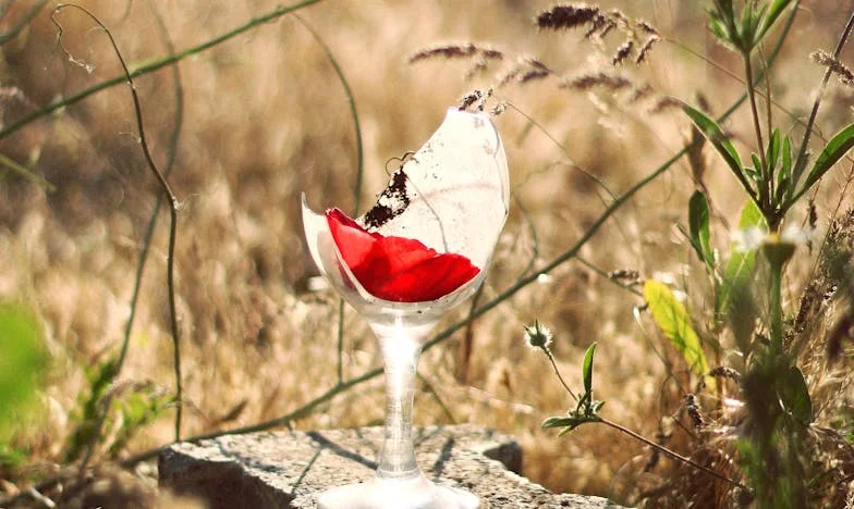 Két Otthon Között: Egy Hazáért Folytatott Harc