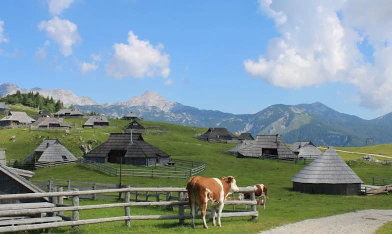 Mennyit ér egy szülői áldozat? Egy budapesti buszsofőr fia vallomása