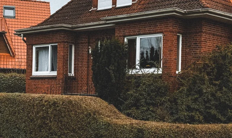 Táncolni akartam – Egy magyar nő története a hűtlenségről, balesetről és újrakezdésről