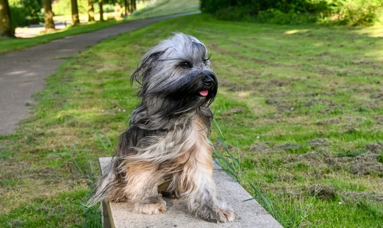A Colher na Salada: Entre Amores, Conflitos e Segredos de Família
