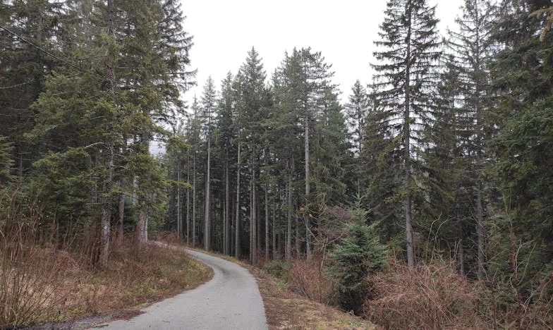 A Nora que Mudou Tudo: Quando a Tradição Encontra o Novo Tempo