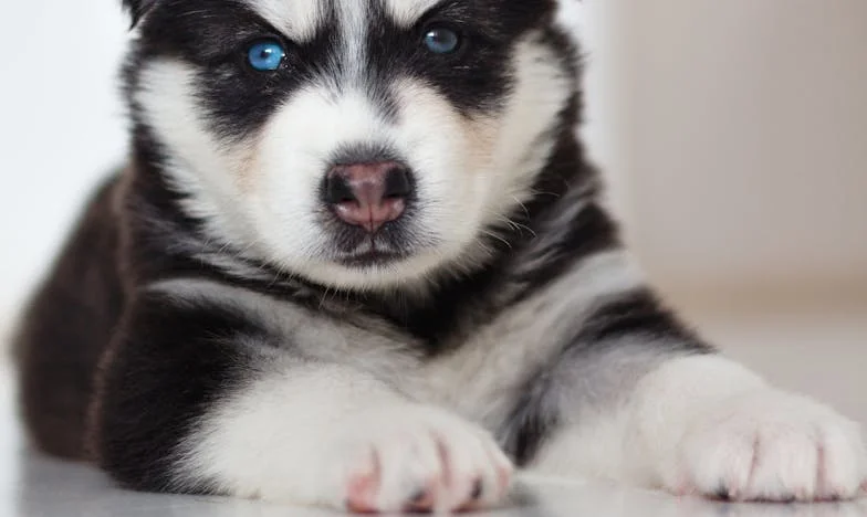 Amor ou Lealdade? Quando o Meu Marido Cortou Relações com a Minha Família