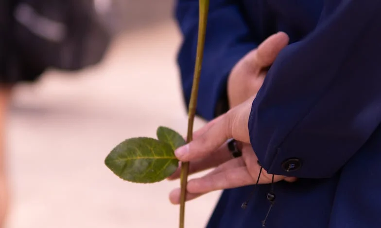 Entre Dois Lares: Quando Minhas Coisas Viram Desejos dos Outros