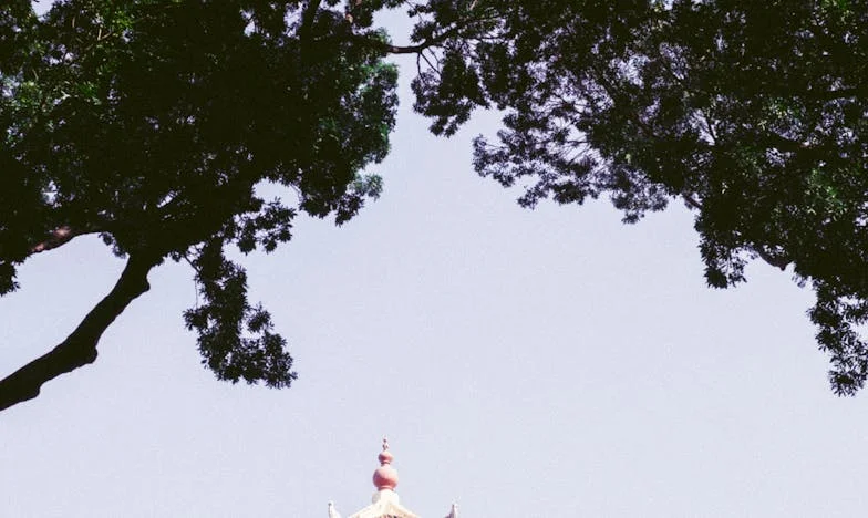 “Não sou mais um peso para vocês”: A história de Maria, que escolheu a solidão para não atrapalhar a família