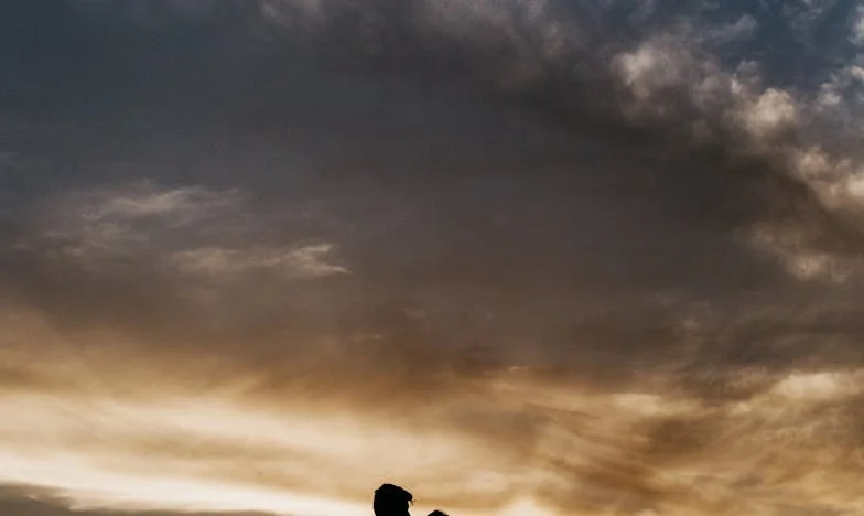 O aniversário que mudou tudo – À sombra de um costume familiar