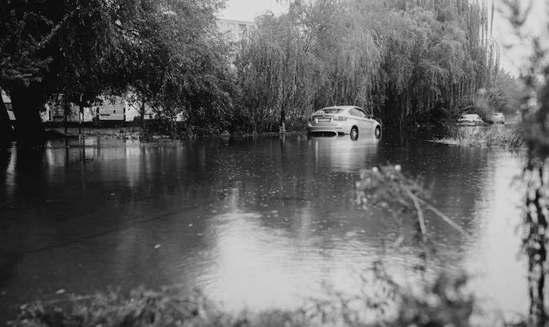 Quando a Sogra Decide por Nós: Uma Luta por Limites e Paz