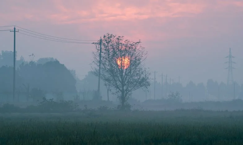Quando Minha Melhor Amiga Virou Minha Inquilina