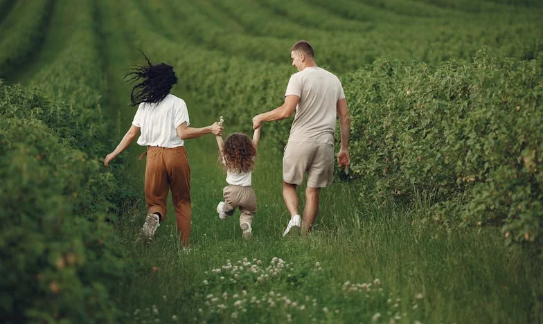 Quando Minha Sogra Se Mudou: No Olho do Furacão Familiar