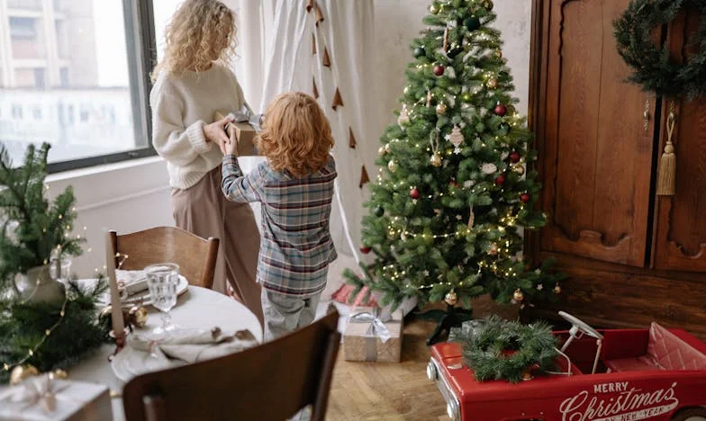 O Segredo da Minha Mãe: A Casa Que Nunca Foi Minha