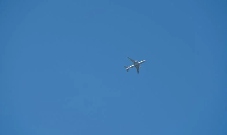 Quando a Sogra se Torna uma Ameaça – A História de uma Família Portuguesa