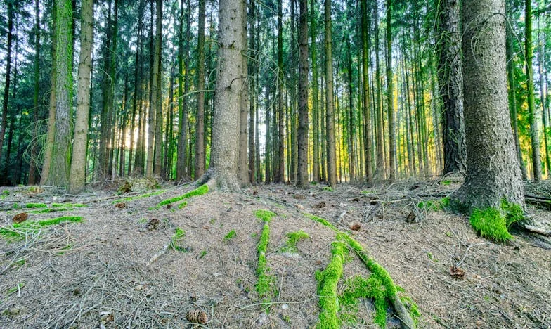 Kolejny krok należy do mnie – historia Elżbiety, która postanowiła zawalczyć o siebie