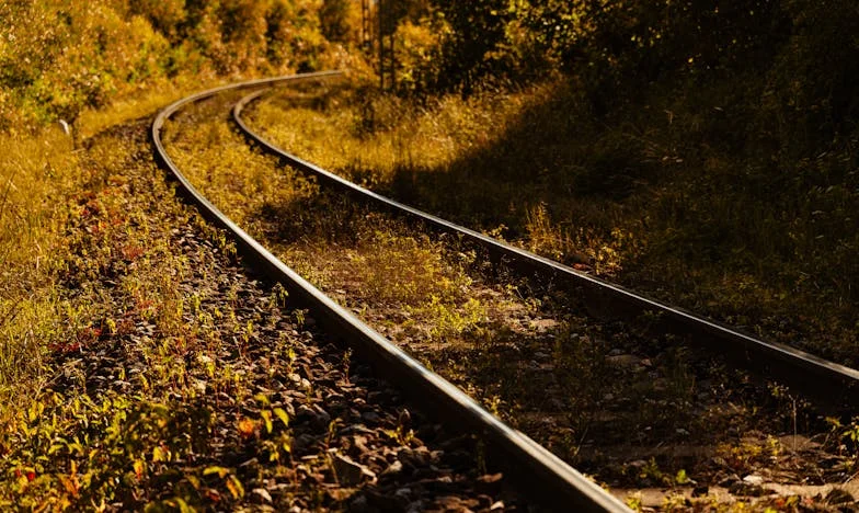 „Nie jesteś matką, tylko przekleństwem” – Moja polska historia o rodzinie, zdradzie i nadziei