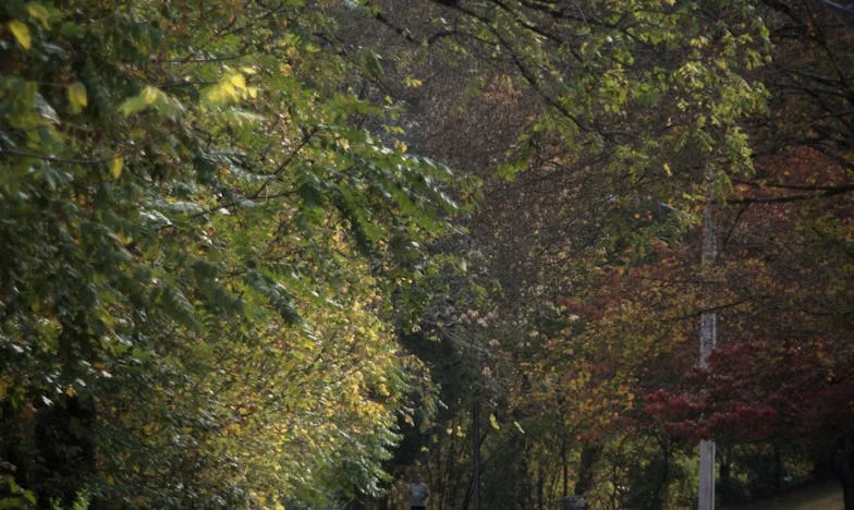 Kiedy rodzina zięcia staje się wrogiem: Moja walka o córkę i rodzinny spokój