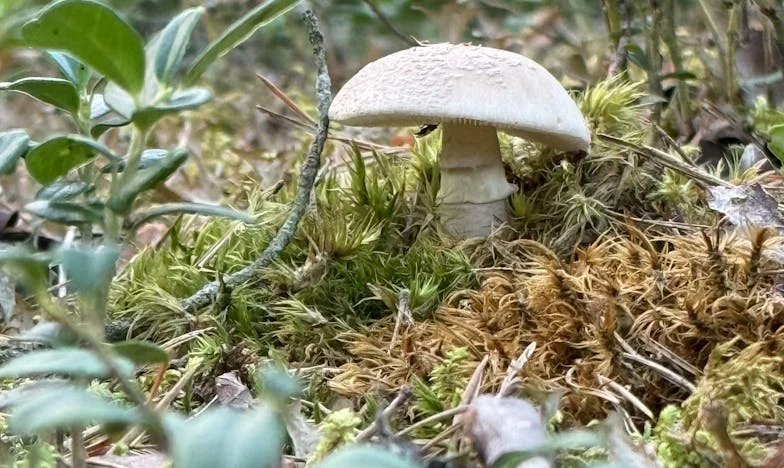 "Nie jesteś wystarczająca": Wieczór, który rozdarł moją rodzinę