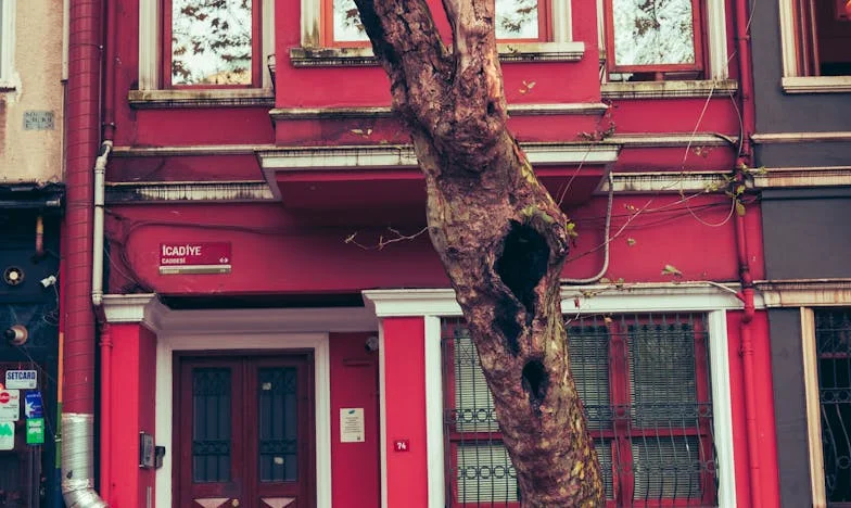 Nieplanowana wizyta o dziesiątej rano: Co odkryłam za zamkniętymi drzwiami mojego syna?