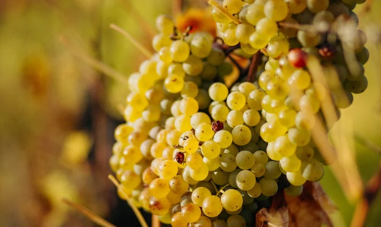 Syn zaprosił mnie na obiad do nowego mieszkania. Kiedy otworzyłam drzwi, zobaczyłam tam osobę, której nigdy nie chciałam spotkać...