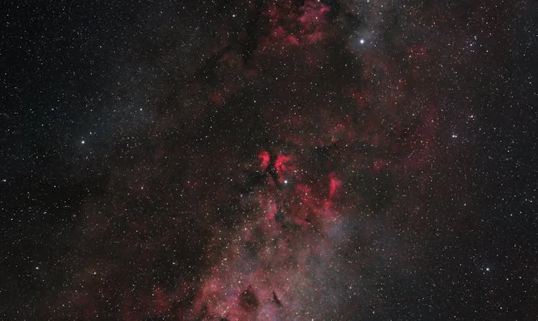 Czekaj na mnie! – Historia Zofii Stanisławy z Krakowa