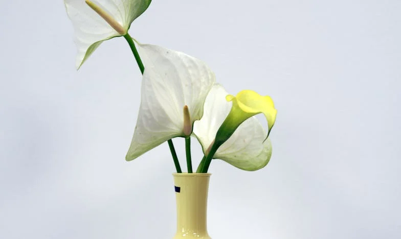 Dwa serca, jeden wybór: Moja walka o rodzinę, której nie mogłam mieć