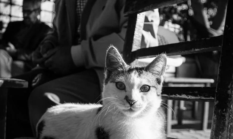 Dziedzictwo, które rozdarło moją rodzinę: Historia pieniędzy, miłości i zdrady