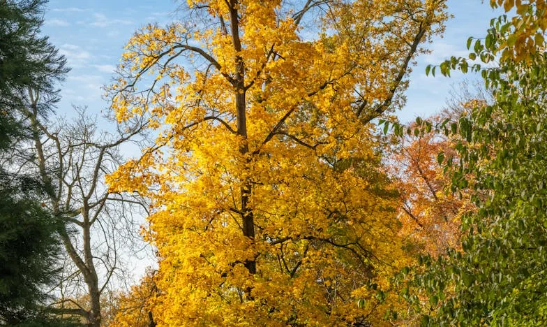 „Dziś zostanę babcią” – Gdzie kończy się matczyna troska, a zaczyna dorosłość córki?