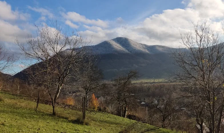 Filtr dobra: marzenie, które musi się spełnić