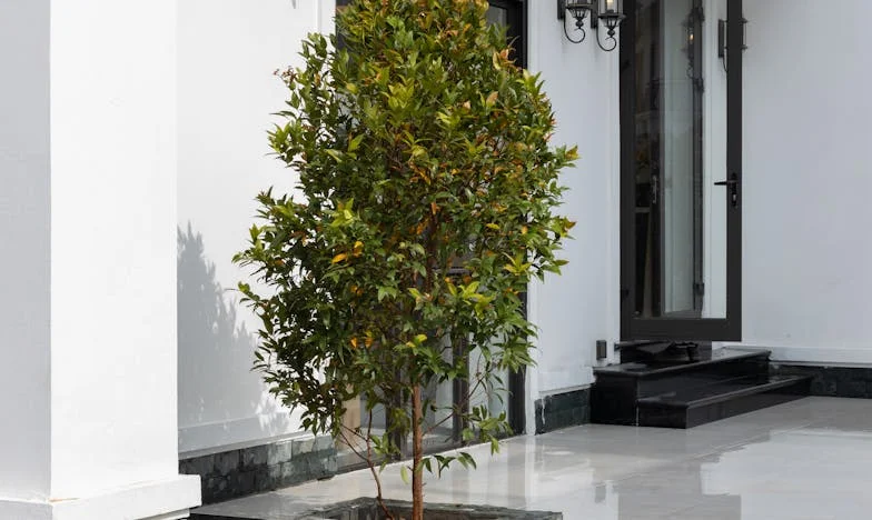 Gdy miłość znika: Zdrada po 27 latach małżeństwa. Moja walka o siebie po odejściu męża do przyjaciółki