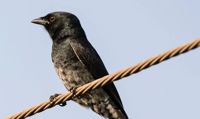 Granice sąsiedzkiej bezczelności: Jak postawić je skutecznie