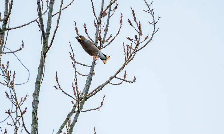 Ile waży szklanka wody? Moja walka z ciężarem przemilczeń w rodzinie