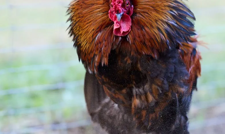Kto ma prawo decydować o imieniu mojego syna? Mój dramat w cieniu rodziny męża