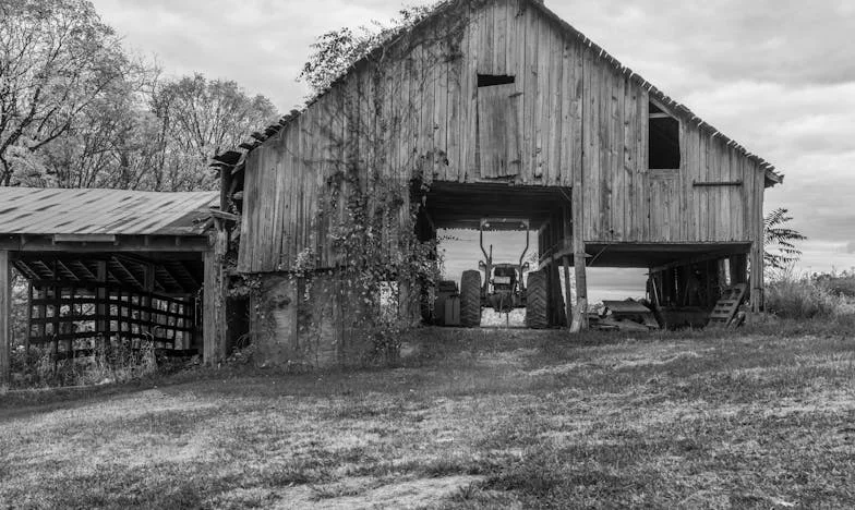 Łzy teściowej na weselu – historia, której nikt nie chciał usłyszeć