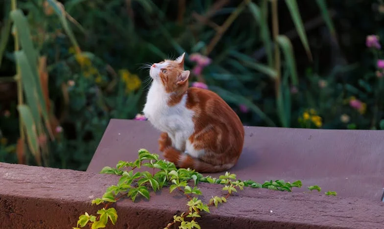 Między dwoma matkami: Zmywarka, która podzieliła rodzinę – prawdziwa historia o tym, jak drobiazg może zniszczyć spokój domu