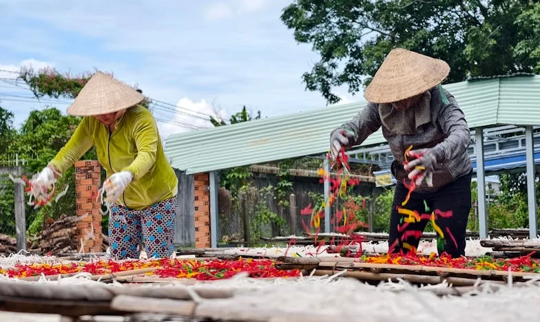 Między Dwoma Ogniskami: Opowieść o Synowej, Teściowej i Poszukiwaniu Akceptacji