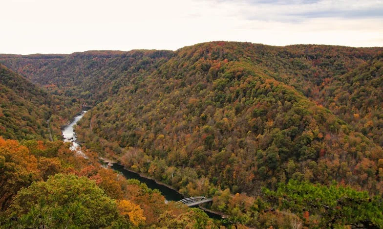 Mój mąż wybrał pierwszą klasę dla siebie i swojej matki – a mnie i dzieci zostawił z tyłu. Czy można jeszcze odbudować rodzinę po takim upokorzeniu?