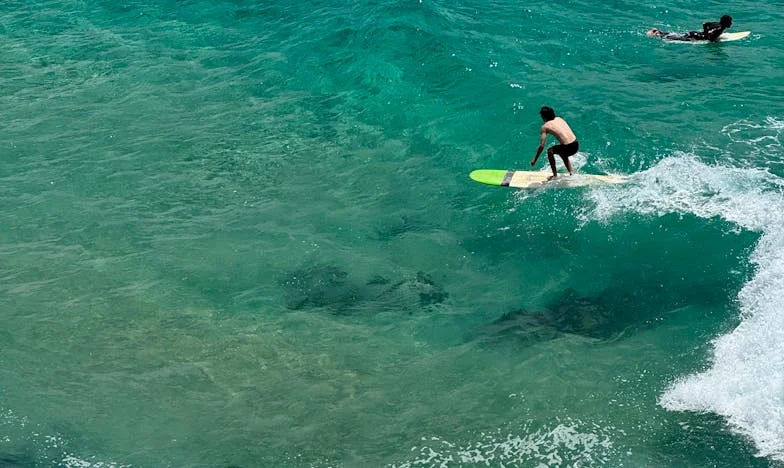 Mój samochód, moja rodzina i niewypowiedziane przebaczenie – historia o zaufaniu, rozczarowaniu i rodzinnych tajemnicach