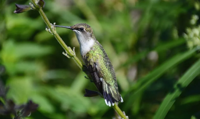 Moje cztery ściany, moja godność: Walka o dom w cieniu teściowej