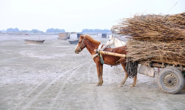 Nie taka matka, jak się wydaje: Opowieść Magdaleny po rozwodzie