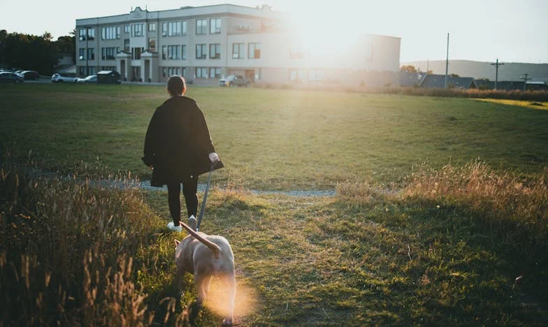 Niedzielny obiad, który rozdarł moją rodzinę – jak jedna tradycja niszczy nasze relacje