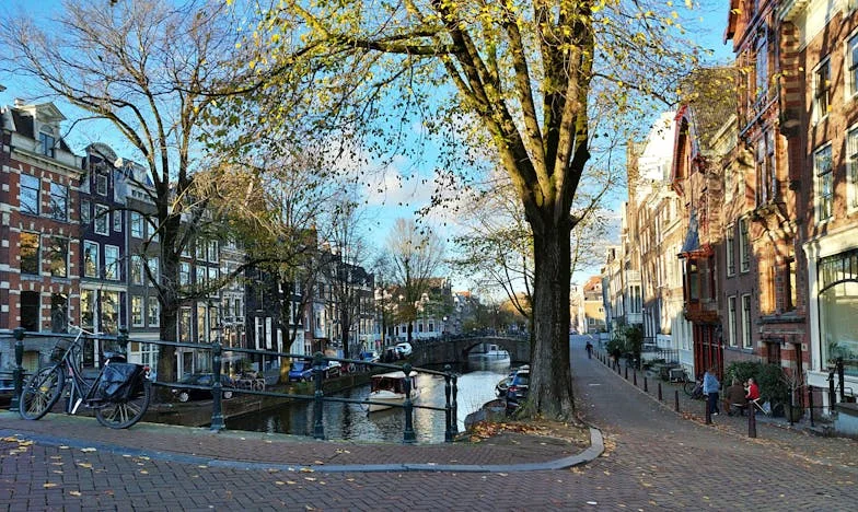 Nieprzespane noce i zapach smażonej cebuli: Moja walka z rodzinną zdradą